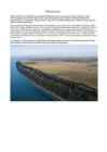 New OpenDocument-tekst