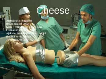 Cheese #2