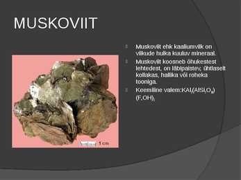 Kivimid-mineraalid #14