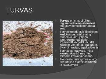 Kivimid-mineraalid #7