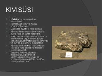 Kivimid-mineraalid #8