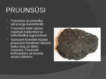Kivimid-mineraalid #9