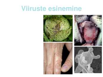 Viirused #3