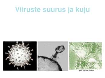 Viirused #5