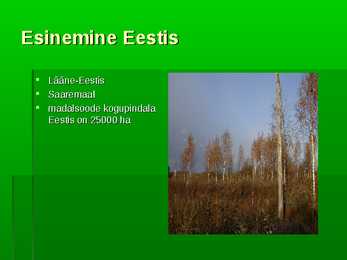 Rohusoo esitlus #3