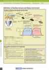 Pinnakareduse standardid