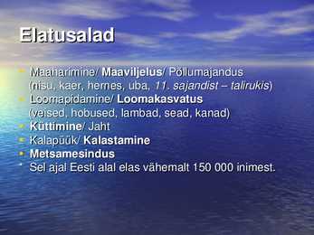 Eestlased muinasaja lõpul #2