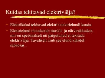 Elektrikalad #4