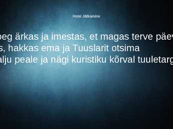 Nimetu #7