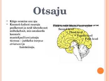 Otsaju e suuraju #2