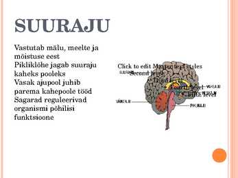Otsaju e suuraju #6