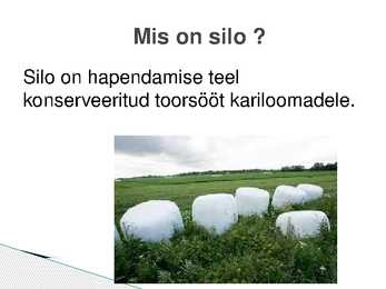 Silo valmistamine #2
