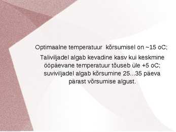 KÕRSUMINE taimekasvatus #6