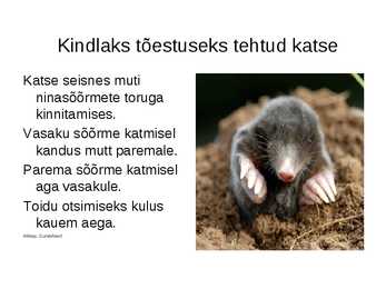 Loomad- mutt-tuhatjalgne-pimekala #4