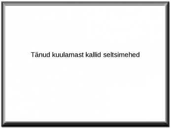 Suusatamine #12