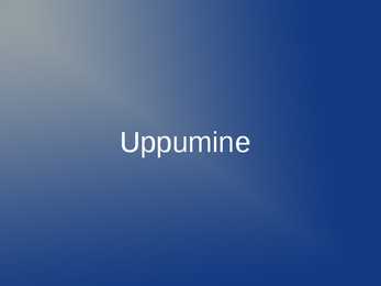 Uppumine