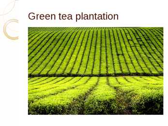 Green tea #3