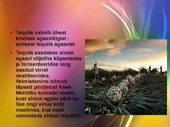 Tequila #5