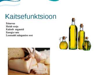 Rasvade kaitsefunktsioon #3