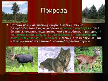 Powerpoint eestist vene keeles #6