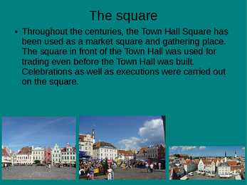 Tallinn Town Hall Square and Town Hall #7