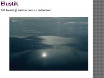 Tanganjika järv #6