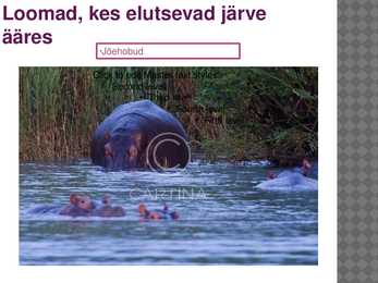Tanganjika järv #7