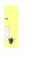 Exc Joonestamine #2