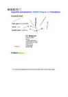 Exc Joonestamine #14