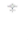 Exc Joonestamine #44