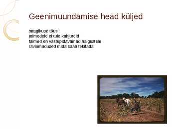 Geeniliselt muundatud loomad ja taimed #4