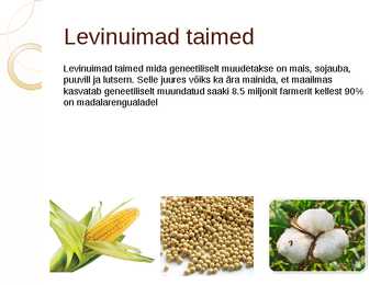 Geeniliselt muundatud loomad ja taimed #9