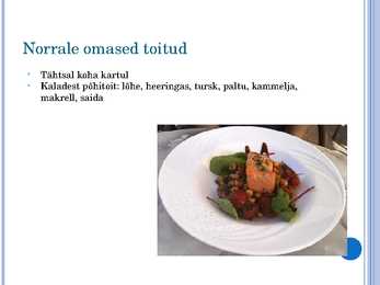 Norra toit #4