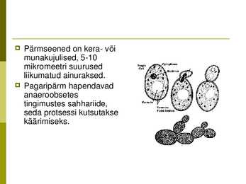 Toiduainetööstus-pagaritööde ja pärmseened #5