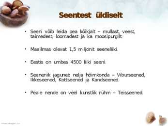 Seened meie kodus #2
