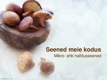 Seened meie kodus