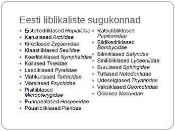 Liblikalised #20