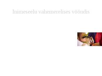 Vahemereline põõsastik ja mets #5