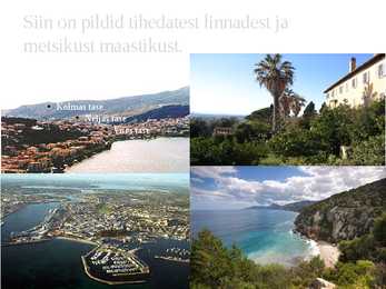 Vahemereline põõsastik ja mets #6