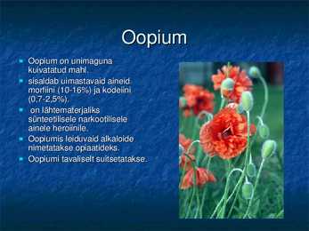 Kõne-Opiaadid #2