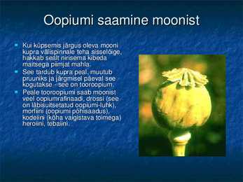 Kõne-Opiaadid #6