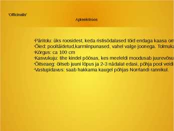 Roosid #14