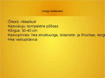 Roosid #19
