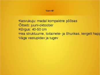 Roosid #21