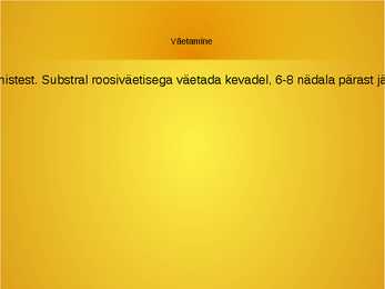 Roosid #22