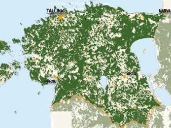 Eesti metsamajandus ja metsatööstus #3