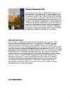 Tallinna vanalinn #5
