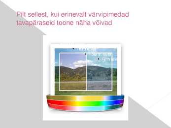 Värvipimedus ehk daltonism #3