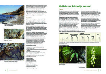 Eesti looduskaitse #14