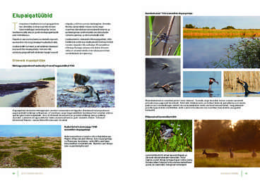 Eesti looduskaitse #21